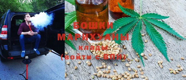 молекула духа Алексеевка