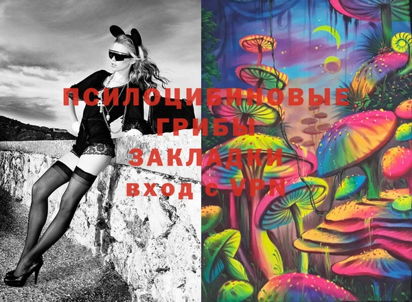 молекула духа Алексеевка