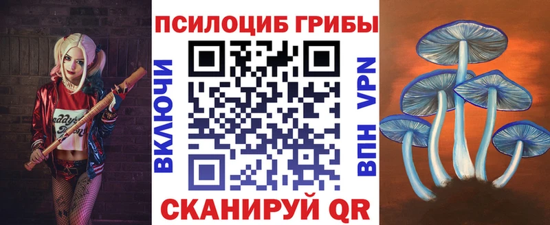 как найти наркотики  Арзамас  Псилоцибиновые грибы Cubensis 
